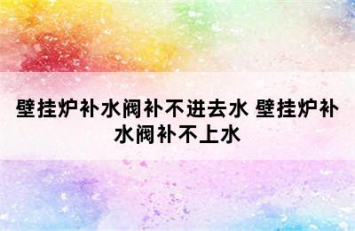 壁挂炉补水阀补不进去水 壁挂炉补水阀补不上水